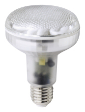 15W ES (E27) R80 BR1215i
